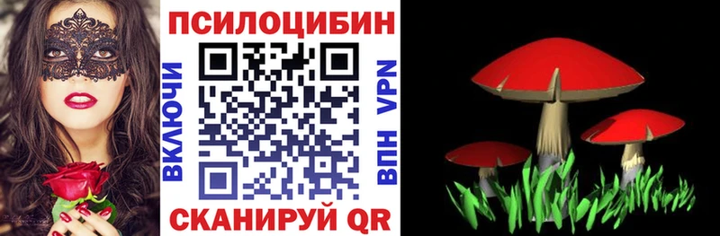 Псилоцибиновые грибы мухоморы  Медынь 